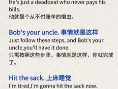 -菠萝国际教育专注Alevel·IGCSE·IB·AP·托福雅思培训辅导(静安校区)