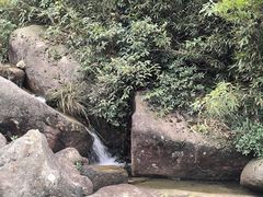 -大罗山风景区
