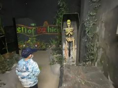 -朝阳公园游乐园