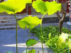 -李叔同故居纪念馆