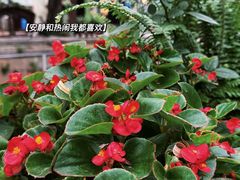 -南浔古镇