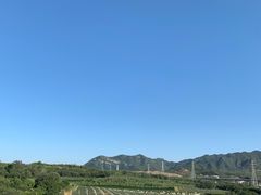 -北京张裕爱斐堡酒庄