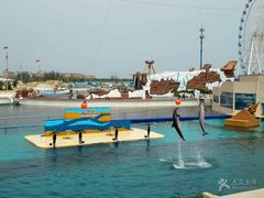 -秦皇岛乐岛海洋王国