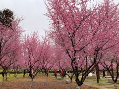 -白塘生态植物园