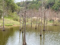 -神光山国家森林公园