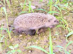 -安德鲁户外烧烤帐篷营地(马泉营店)