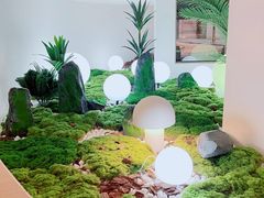 -皇室假期美食水疗会(春风路店)