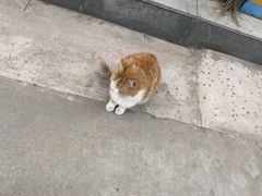 -半坡国际艺术区