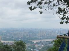 -南山植物园