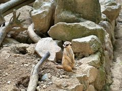 -杭州少年儿童公园