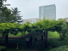 -嘉定紫藤园