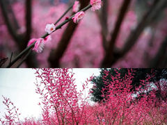 -白公馆