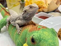 -FAIRYLAND龙族星球主题餐厅(凯丹广场店)