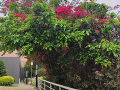 -厦门国家会计学院