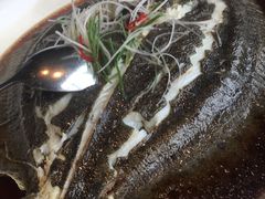 -马仕玖煲·融合菜·酥不腻烤鸭(人大店)