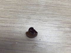 -瑞幸咖啡(数码01大厦店)