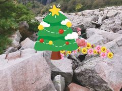-朱雀国家森林公园