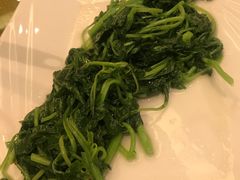 -潮福汇