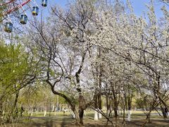 -哈尔滨文化公园