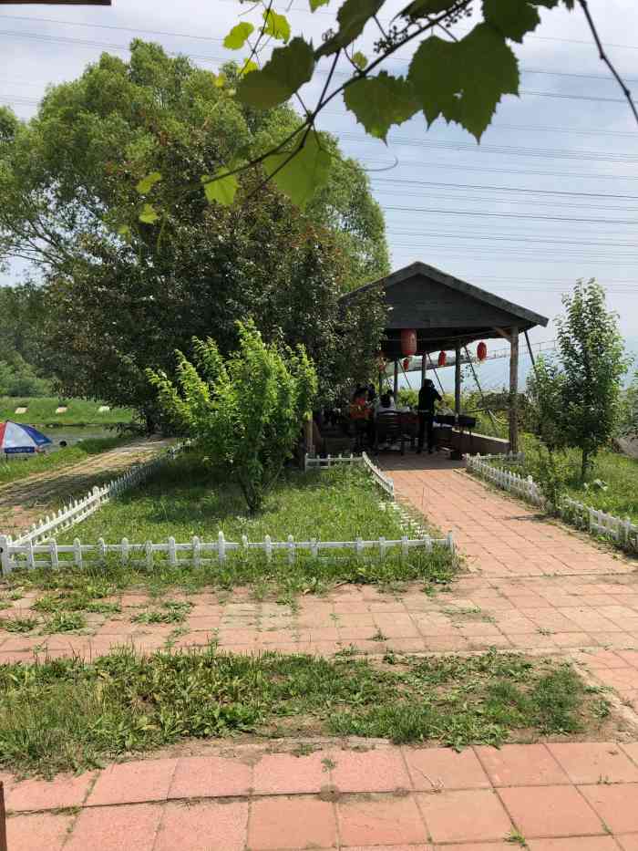 王士兰生态园-"王士兰生态园,有采摘水果和蔬菜,能垂钓和.