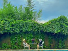 -看见远方·莫干遥远的山民宿