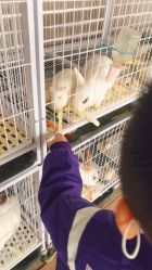 -小蜜蜂农场(凯德七宝购物广场店)