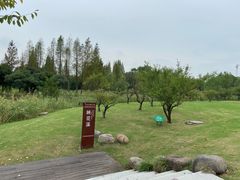 -长田漾湿地公园