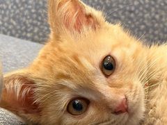 -KAFKA·卡夫卡咖啡(文林店)