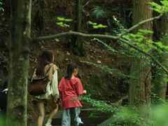 -窦圌山风景区