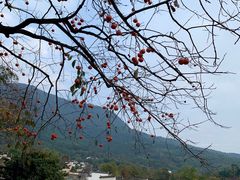 -塔川景区