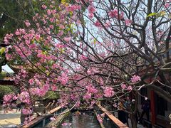 -宝墨园景区