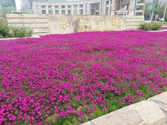 -泉城广场