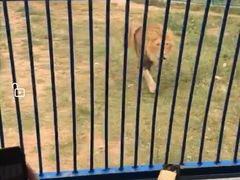 -鄂尔多斯野生动物园