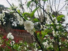 -桃花涧