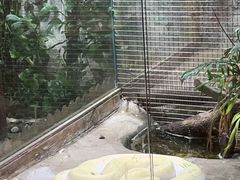 -上海大自然野生昆虫馆(东方明珠·爬宠昆虫探索中心)