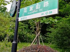 -杭州花家山庄