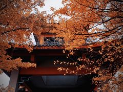 -都江堰景区