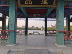 -莲花池公园