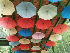 -陶祖圣境风景区