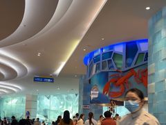 -帝企鹅自助餐厅•儿童岛•真企鹅(长隆企鹅酒店)