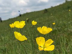 -塞罕坝国家级自然保护区