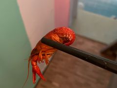 -上海大船酒店-沙滩餐厅
