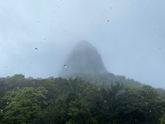 -天龙顶山地公园
