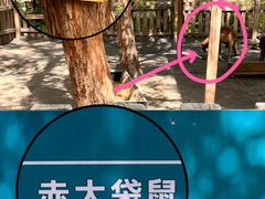 -水上乐园·欢乐世界