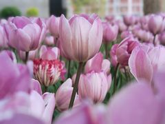 -渣打银行（中国）(北京分行)