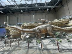 -国家自然博物馆