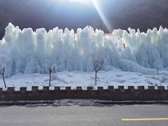 -陕西省红河谷森林公园