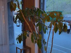 -和雅集素斋(景区店)