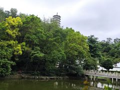 -深圳国际园林花卉博览园