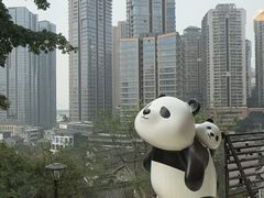 -嫩芽 ·地道重庆菜(十八梯露台夜景店)